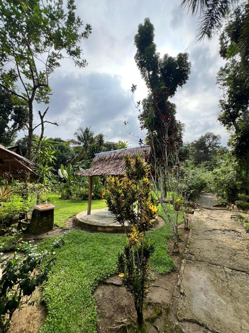 Wisma Batu Mandi Bukit Lawang Exterior photo