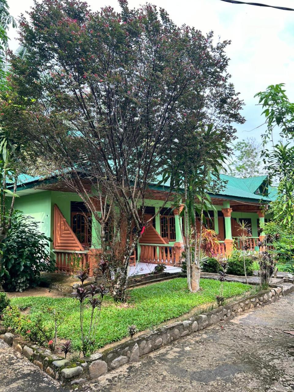 Wisma Batu Mandi Bukit Lawang Exterior photo