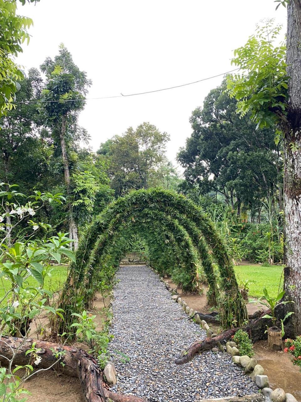 Wisma Batu Mandi Bukit Lawang Exterior photo